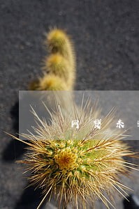 网贷未逾期影响房贷吗 网贷未逾期影响房贷吗