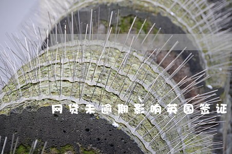 网贷未逾期影响英国签证吗 网贷未逾期影响英国签证吗