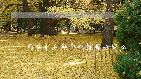 网贷未逾期影响辅警政审么 网贷未逾期影响辅警政审么