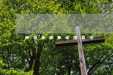 网贷未逾期征信显示 网贷未逾期征信显示