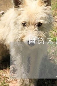 网贷未逾期怎么申请信用卡 网贷未逾期怎么申请信用卡