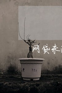 网贷未逾期次数多 网贷未逾期次数多