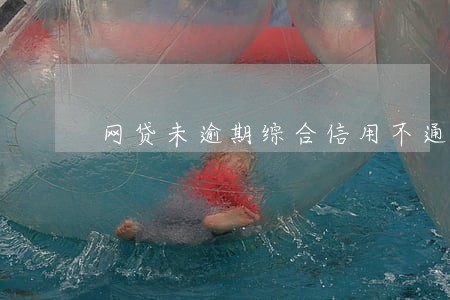 网贷未逾期综合信用不通过 网贷未逾期综合信用不通过