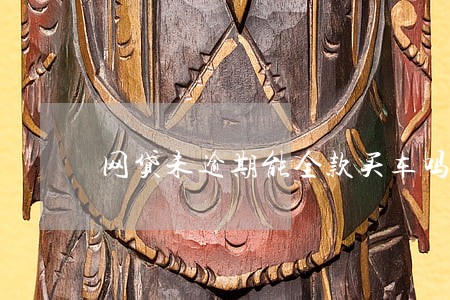网贷未逾期能全款买车吗 网贷未逾期能全款买车吗