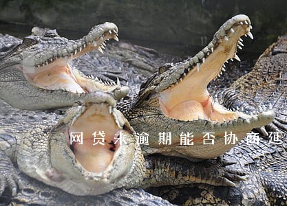 网贷未逾期能否协商延期还款 网贷未逾期能否协商延期还款