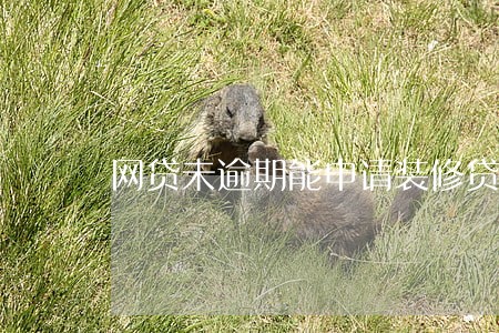 网贷未逾期能申请装修贷吗 网贷未逾期能申请装修贷吗