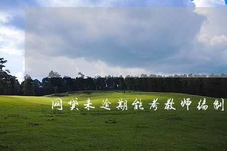网贷未逾期能考教师编制吗 网贷未逾期能考教师编制吗