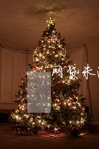 网贷未逾期还清
