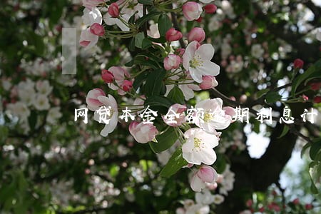 网贷本金全额逾期利息计算 网贷本金全额逾期利息计算