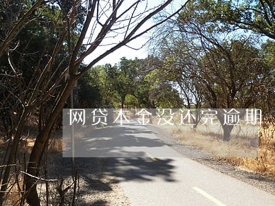 网贷本金没还完逾期 网贷本金没还完逾期