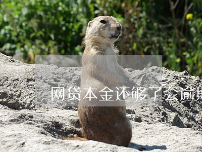 网贷本金还够了会逾期吗