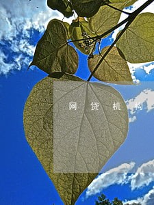 网贷机构逾期 网贷机构逾期