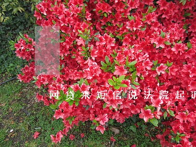 网贷来短信说法院起诉 网贷来短信说法院起诉