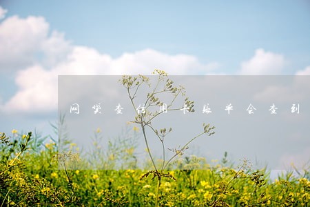 网贷查信用卡账单会查到逾期吗