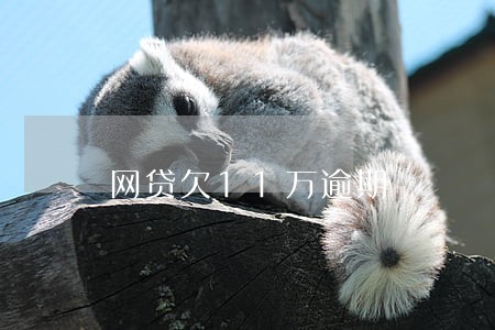 网贷欠11万逾期 网贷欠11万逾期