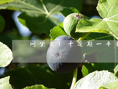 网贷欠3千逾期一年要求还2万8 网贷欠3千逾期一年要求还2万8