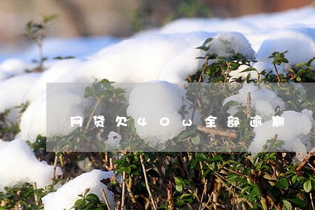 网贷欠40w全部逾期 网贷欠40w全部逾期