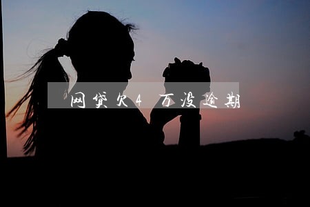 网贷欠4万没逾期 网贷欠4万没逾期