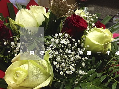 网贷欠5千逾期一年要还十万 网贷欠5千逾期一年要还十万