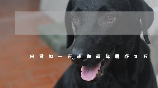 网贷欠一万逾期两年要还2万 网贷欠一万逾期两年要还2万