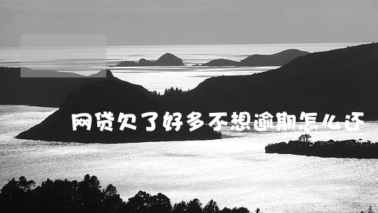 网贷欠了好多不想逾期怎么还 网贷欠了好多不想逾期怎么还