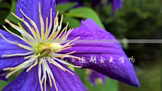 网贷欠几万逾期会失信吗 网贷欠几万逾期会失信吗