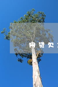网贷欠太久怎么协商只还本金 网贷欠太久怎么协商只还本金