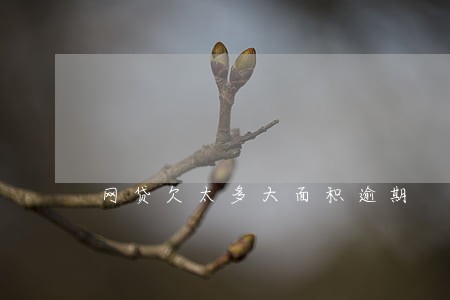网贷欠太多大面积逾期 网贷欠太多大面积逾期