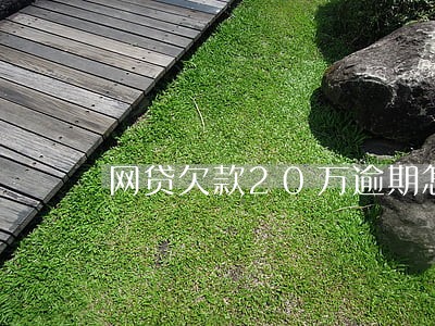 网贷欠款20万逾期怎么办 网贷欠款20万逾期怎么办