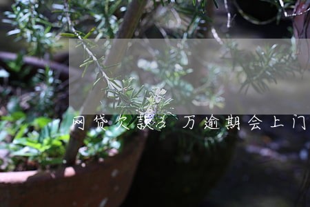 网贷欠款3万逾期会上门吗 网贷欠款3万逾期会上门吗