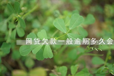 网贷欠款一般逾期多久会面临起诉 网贷欠款一般逾期多久会面临起诉