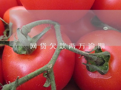 网贷欠款两万逾期 网贷欠款两万逾期
