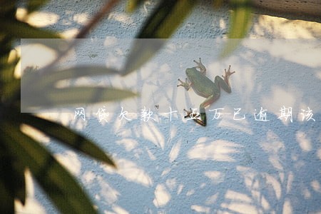 网贷欠款十五万已逾期该怎么办 网贷欠款十五万已逾期该怎么办