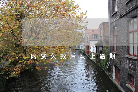 网贷欠款后马上逾期 网贷欠款后马上逾期