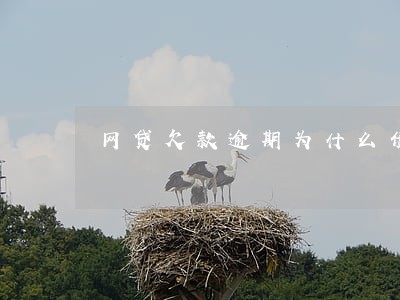 网贷欠款逾期为什么债权转让 网贷欠款逾期为什么债权转让