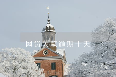 网贷欠款逾期十天 网贷欠款逾期十天