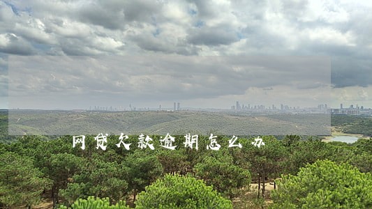 网贷欠款逾期怎么办 网贷欠款逾期怎么办