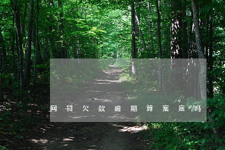 网贷欠款逾期算案底吗 网贷欠款逾期算案底吗