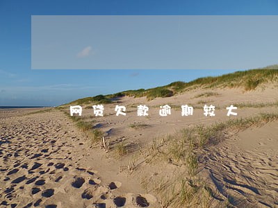 网贷欠款逾期较大 网贷欠款逾期较大