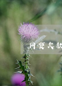 网贷欠款逾期还不上怎么办 网贷欠款逾期还不上怎么办