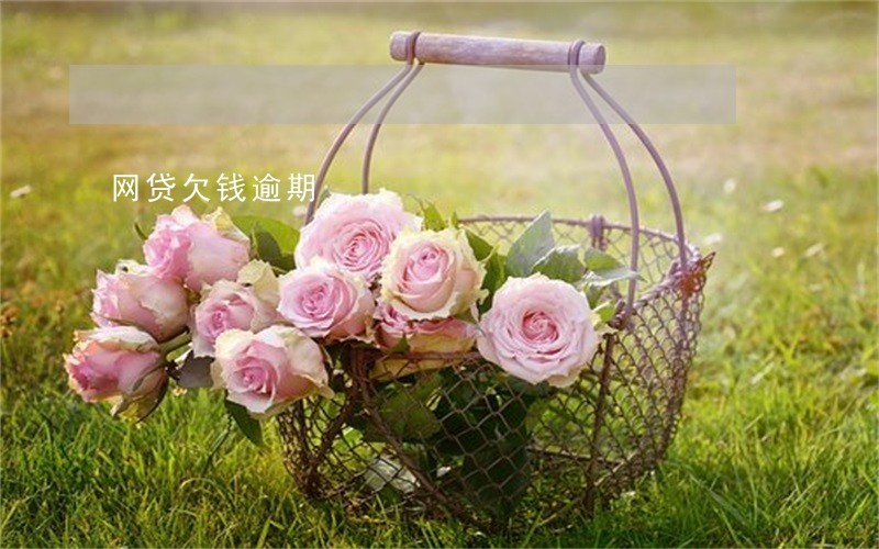 网贷欠钱逾期