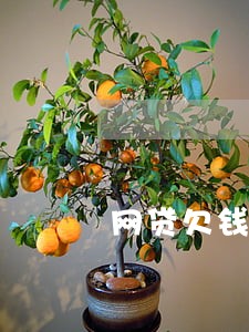 网贷欠钱逾期怎么沟通只还本金 网贷欠钱逾期怎么沟通只还本金
