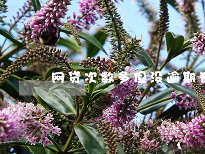 网贷次数多但没逾期有影响车贷吗