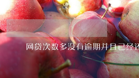 网贷次数多没有逾期并且已经还清 网贷次数多没有逾期并且已经还清