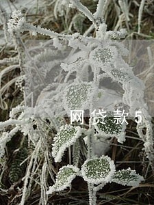 网贷款5000逾期 网贷款5000逾期