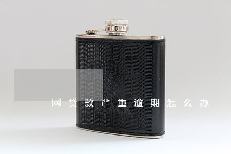 网贷款严重逾期怎么办