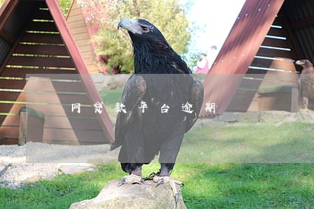 网贷款平台逾期 网贷款平台逾期