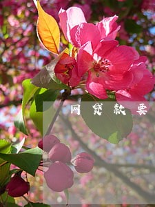 网贷款要逾期了怎么办 网贷款要逾期了怎么办