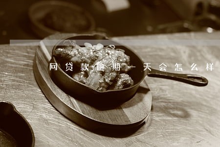 网贷款逾期一天会怎么样 网贷款逾期一天会怎么样