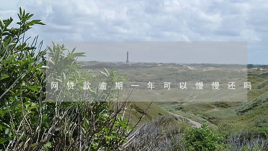 网贷款逾期一年可以慢慢还吗 网贷款逾期一年可以慢慢还吗